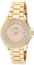 Steel Rose AM4454 Watch Women's Traveler Fossil Retro Stainless