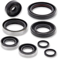Engine Complete Oil Kit Racing (822264MSE) Moose Seal