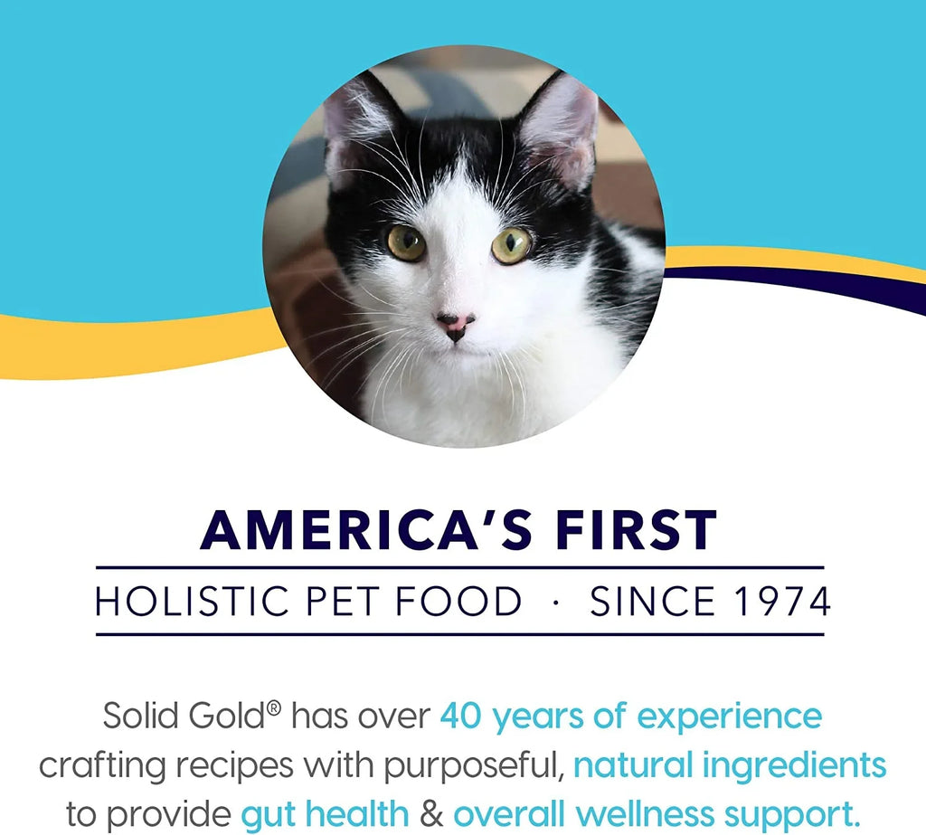 & Canned Grain for Free with - Digestion, - Pate Food Wet Overall Real Shreds Food Control, Layers Salmon & Triple Mousse, Immunity Cat Weight Cat and Made Gold Pate, Solid Pumpkin Healthy