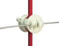 White Gallagher On Insulator Screw