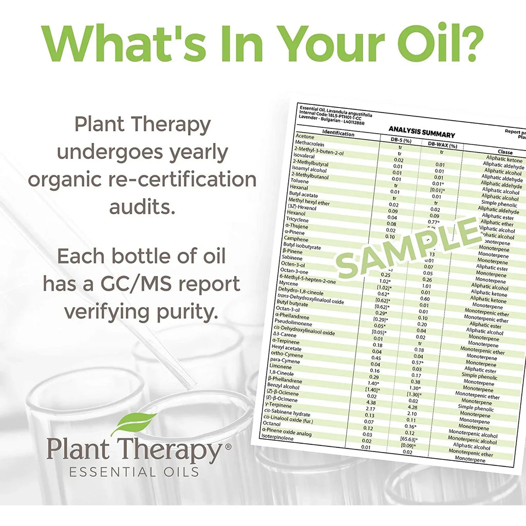 Pure, Essential (1 100% Oil Night Plant Natural Aromatherapy KidSafe oz) Nighty Blend for Undiluted, mL Sleep 30 Therapy