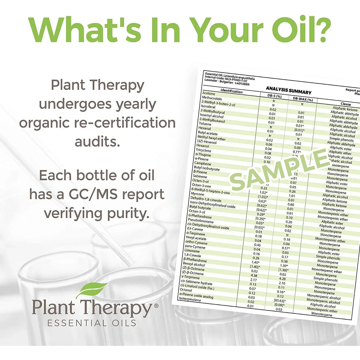 Pure, Essential (1 100% Oil Night Plant Natural Aromatherapy KidSafe oz) Nighty Blend for Undiluted, mL Sleep 30 Therapy
