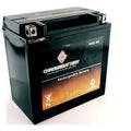 Ski) Kawasaki for Pwc Year Sx Battery (86-91) Ts, (jet Chrome Yb16cl-bs Battery Js300