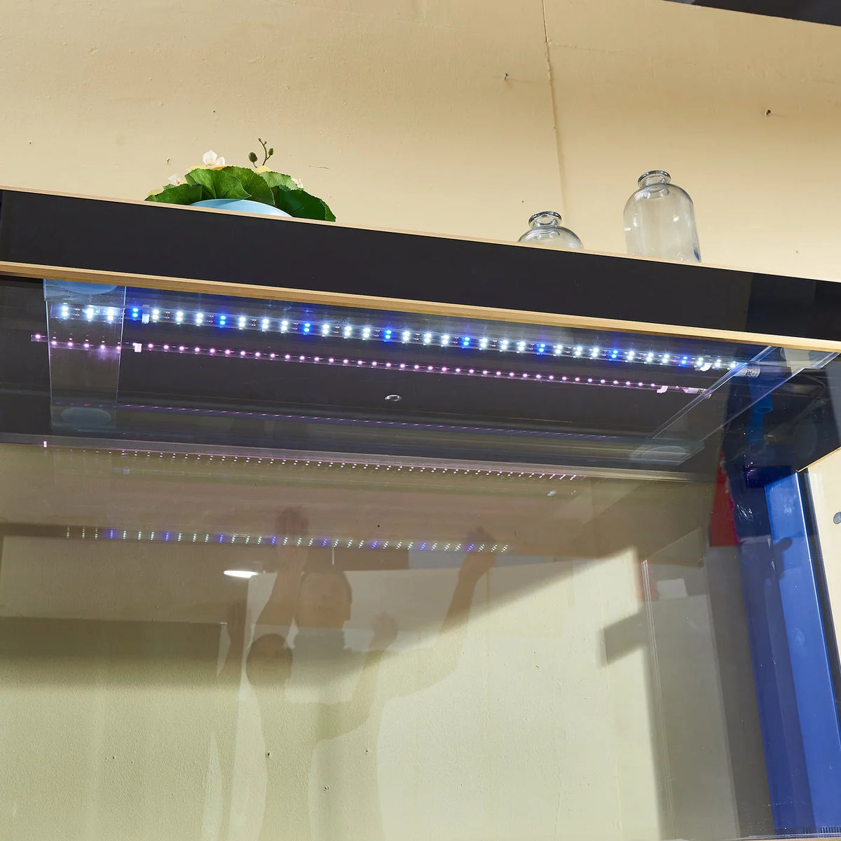 Dream Tempered Gallon 250 and Glass Black Gold Aquarium All-in-one Aqua
