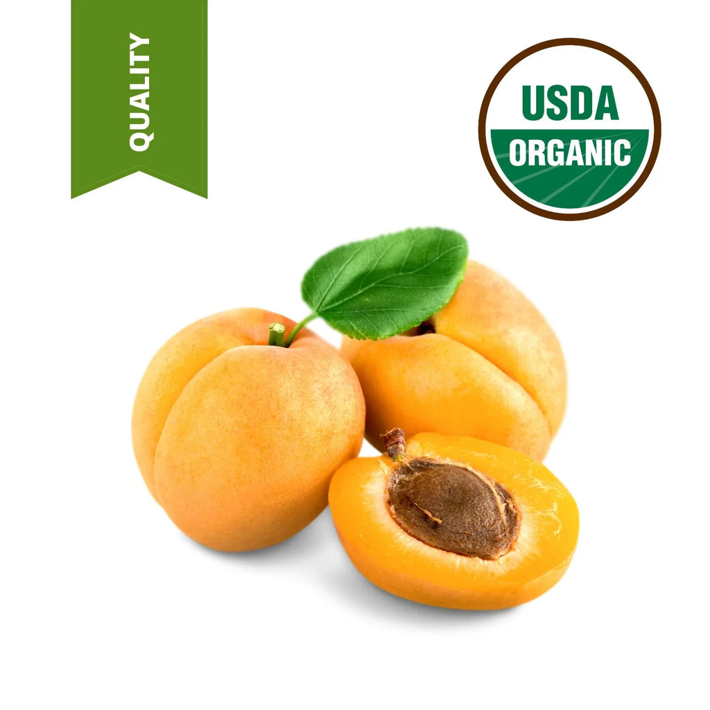 Apricot 100% pressed Kernel Unrefined Gallon oil Organic cold pure Virgin 1