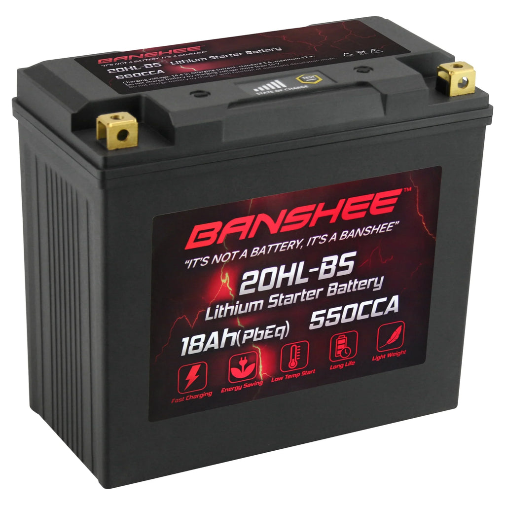 Compatible Sea-Doo Motorsports 230 LiFePO4 2018 to YTX20L-BS 2018 Battery RXT with Banshee