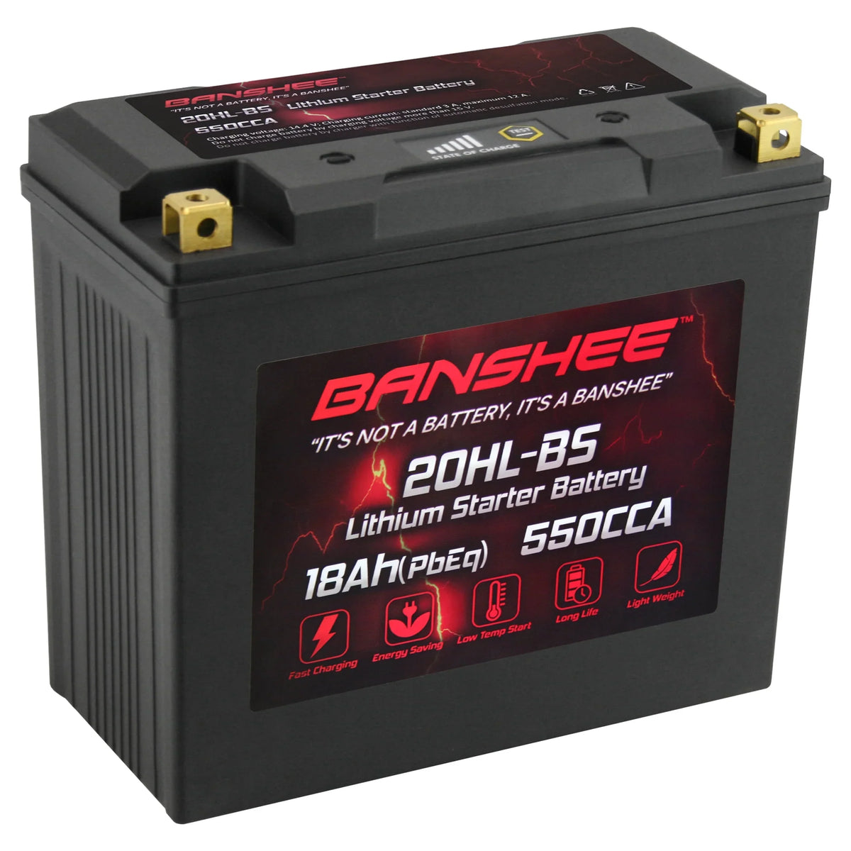 Compatible Sea-Doo Motorsports 230 LiFePO4 2018 to YTX20L-BS 2018 Battery RXT with Banshee